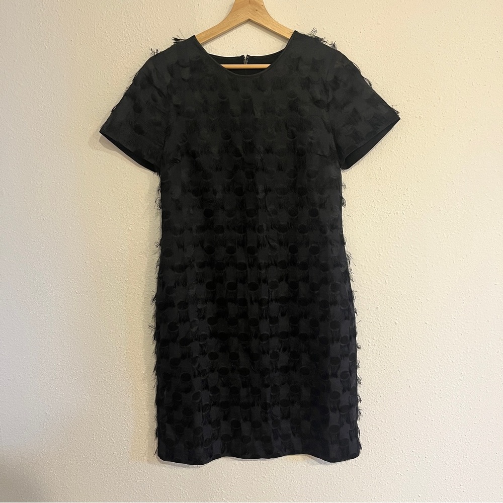 Banana Republic Black Feathered Shift Dress Size 4